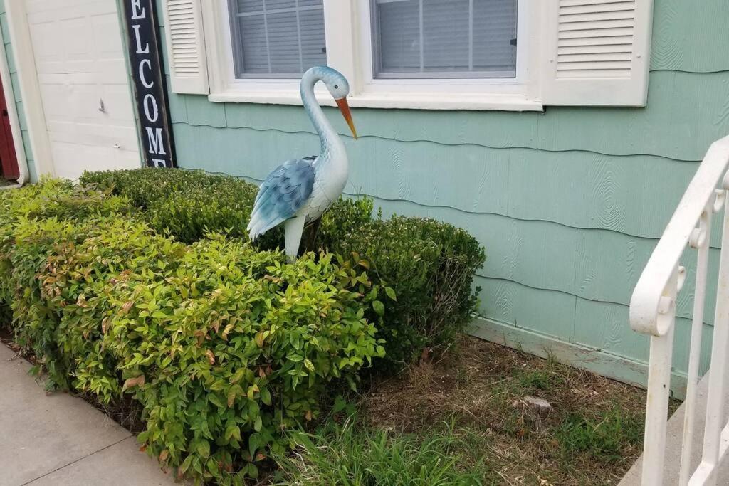 Blue Flamingo'S Charming Home-Heart Of Tulsa2- Cherry St-Expo-11Th Exterior foto